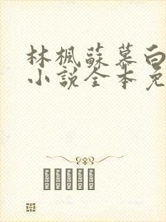 林枫苏慕白穿越小说全本免费阅读笔趣阁