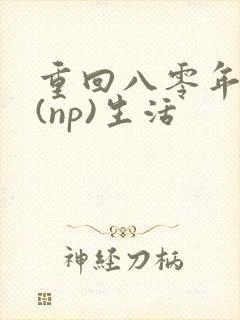 重回八零年代文(np)生活