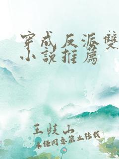 穿成反派双男主小说推荐