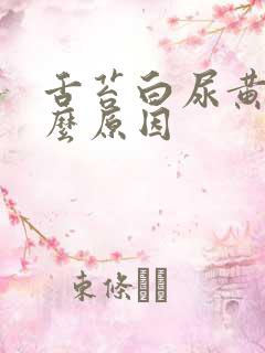 舌苔白尿黄是什么原因