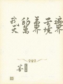 我的弟子遍布诸天万界境界划分