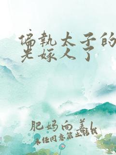 偏执太子的白月光嫁人了