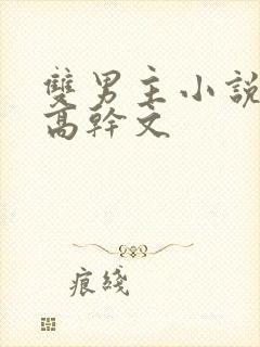 双男主小说推荐高干文