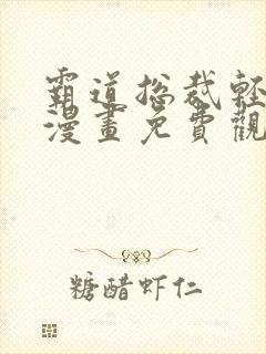 霸道总裁轻轻爱漫画免费观看