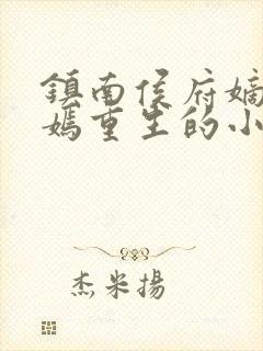 镇南侯府嫡女萧嫣重生的小说