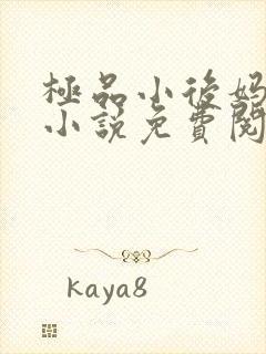 极品小后妈言情小说免费阅读