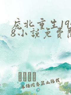 庞北重生1958小说免费阅读