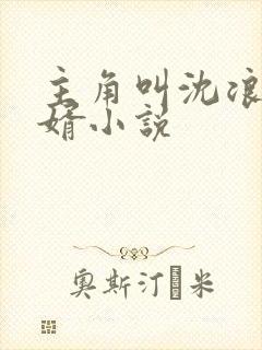 主角叫沈浪的赘婿小说