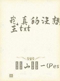 我真的没想抢男主txt