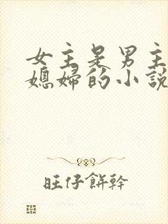 女主是男主的儿媳妇的小说