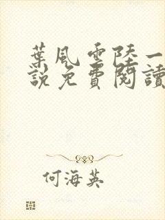 叶风云陆一曼小说免费阅读