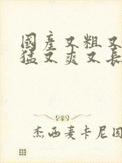 国产又粗又黄又猛又爽又长无遮挡