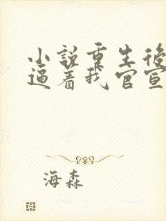 小说重生后影帝逼着我官宣