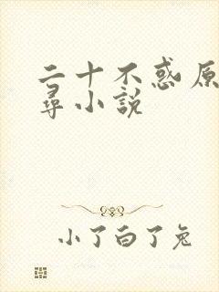 二十不惑原著周寻小说