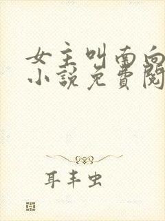 女主叫南向晚的小说免费阅读