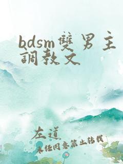 bdsm双男主调教文