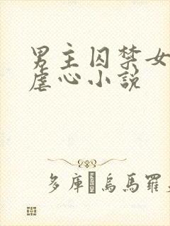 男主囚禁女主的虐心小说