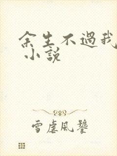 余生不过我爱你 小说
