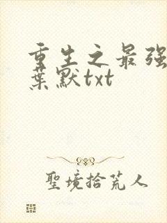 重生之最强弃少叶默txt