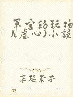 军官的玩物(高h虐心)小说