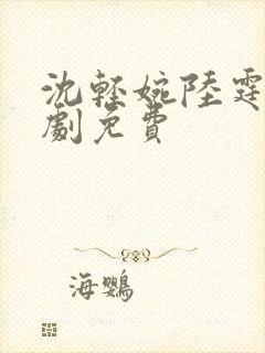 沈轻婉陆霆州短剧免费