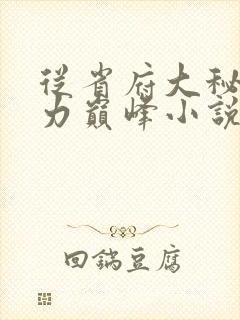 从省府大秘到权力巅峰小说一起功成名就