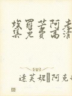 埃罗芒阿老师全集免费高清