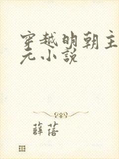 穿越明朝主角孙元小说