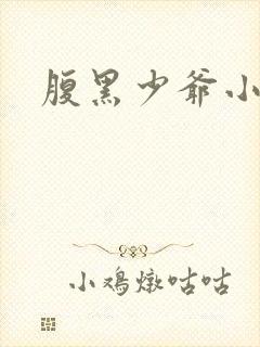 腹黑少爷小甜妻