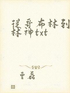 从哥布林到哥布林神txt