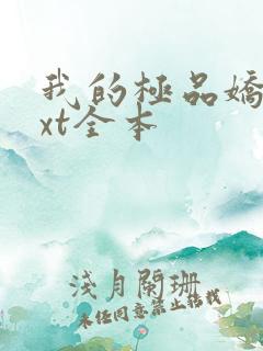 我的极品娇妻txt全本