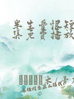 半生爱恨短剧全集免费播放