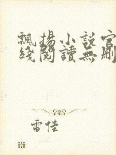 飘扬小说官情在线阅读无删减