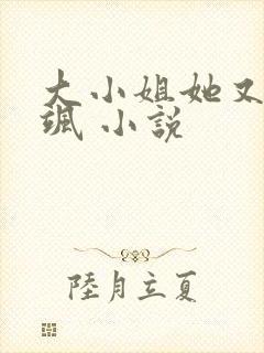 大小姐她又美又飒 小说