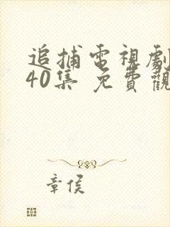 追捕电视剧 共40集 免费观看