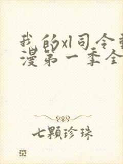 我的xl司令动漫第一季全集在线观看