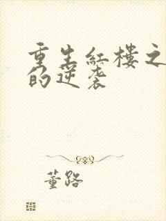 重生红楼之贾敏的逆袭