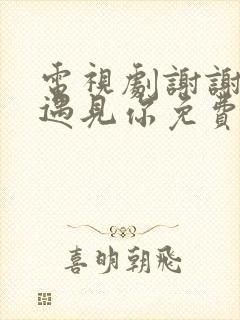 电视剧谢谢让我遇见你免费观看