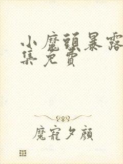 小魔头暴露啦全集免费