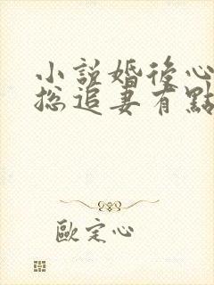 小说婚后心动凌总追妻有点甜免费阅读