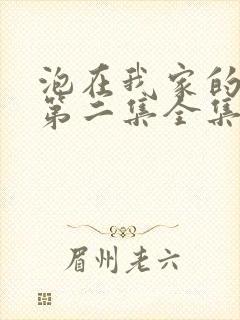 泡在我家的辣妹第二集全集