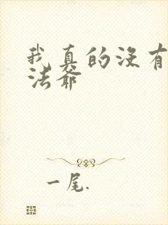 我真的没有针对法爷