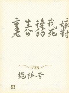 重生后我嫁给了老公的死对头 短剧