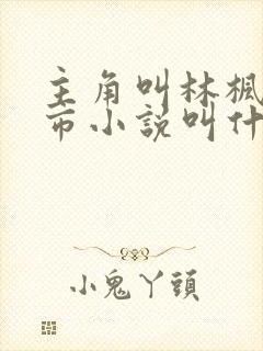 主角叫林枫的都市小说叫什么