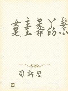 女主是丫鬟男主是王爷的小说