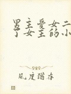 男主爱女二却娶了女主的小说