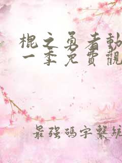 棍之勇者动漫第一季免费观看