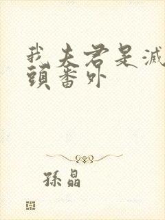 我夫君是灭世魔头番外