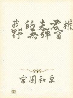 我的夫君权倾朝野 无弹窗