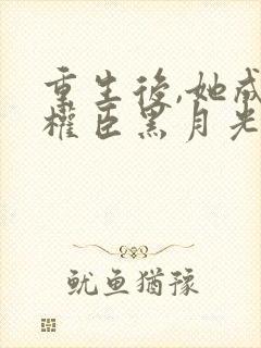 重生后,她成了权臣黑月光